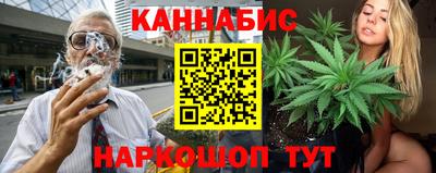 гидра Славгород