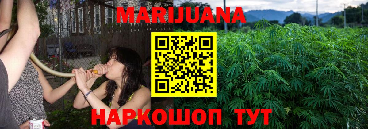 Шишки марихуана Bruce Banner  Вход с VPN  Отрадный  Марихуана марихуана  Бошки Шишки ГИДРОПОН 